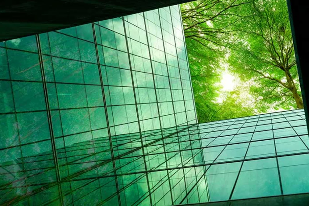 Ambiente e prodotti ecologici